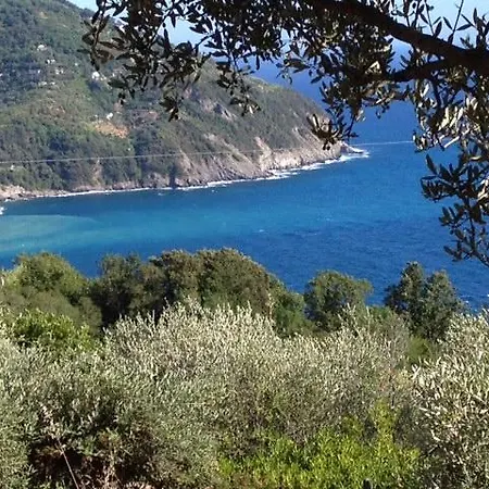 Apartamento Oleandro